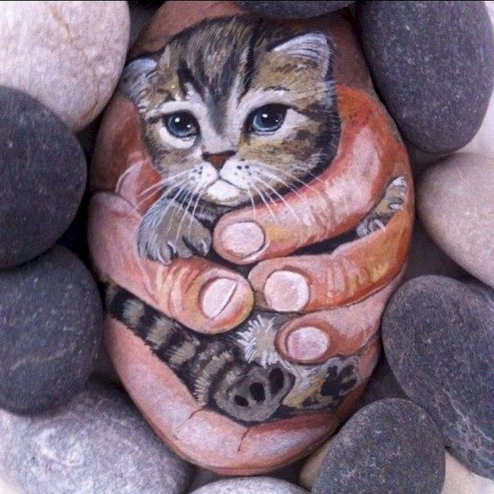 кошка на камне